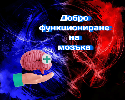 Какво да приемаме за добро функциониране на мозъка