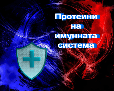 Протеини на имунната система