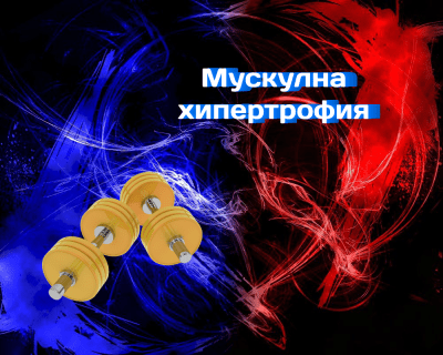 Мускулна хипертрофия: какво тегло е оптимално