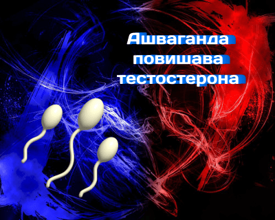 Ашваганда повишава тестостерона и лекува безплодие